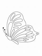 Coloring Vlinder Fluturi Schmetterling Farfalle Disegni Vlinders  sketch template