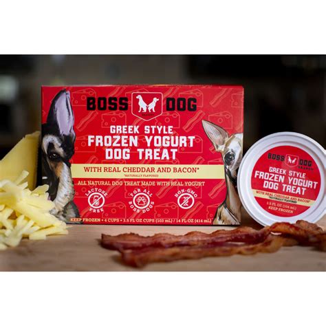 Boss Dog Frozen Yogurt Bacon & Cheddar Dog Treat - 3.5 OZ - Bend Pet Express