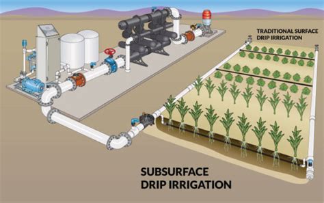 Increase Yield Performance with Subsurface Drip Irrigation - Southern Irrigation