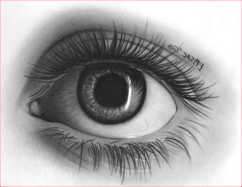 Realistic Eye Pencil Drawing at PaintingValley.com | Explore collection ...