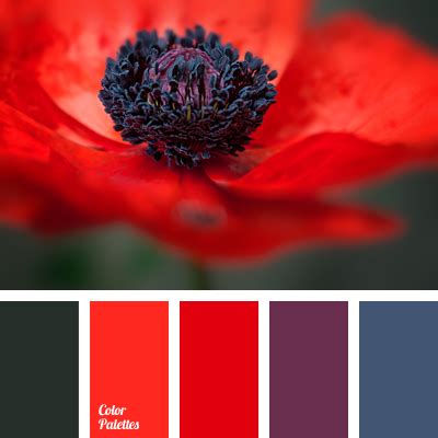 dark blue and red | Page 3 of 3 | Color Palette Ideas