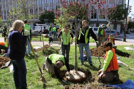 Urban Forests & Carbon Markets - American Forests