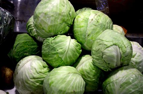 Green Cabbage Free Stock Photo - Public Domain Pictures