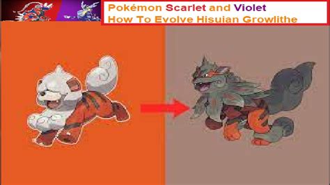 Growlithe Evolution Chart