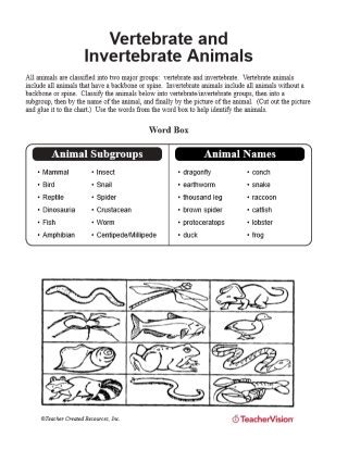 Invertebrate Lecture Worksheet Answer Key