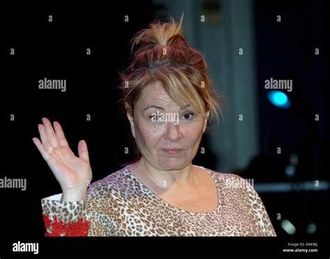 Roseanne barr stand up hi-res stock photography and images - Alamy