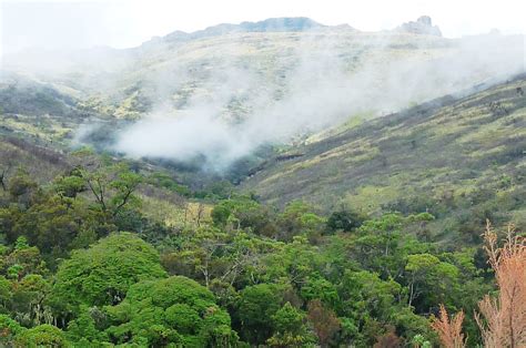 Mountains in Uganda | Brilliant Uganda