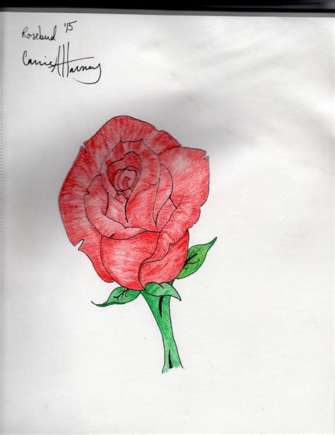 Rosebud Tattoo Design by Albel-Venex on DeviantArt