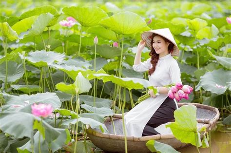 Tổng hợp ảnh hoa sen việt nam nổi tiếng nhất thế giới