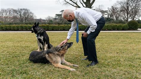 'Where the hell are we?': Biden reflects on living in White House - ABC ...