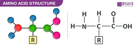 Amino Acids- Properties, Functions, Sources and its Deficiency Disorders