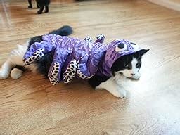 Amazon.com : Zack & Zoey Octo-Hound Dog Costume, Large, Purple Octopus : Pet Costumes : Pet Supplies