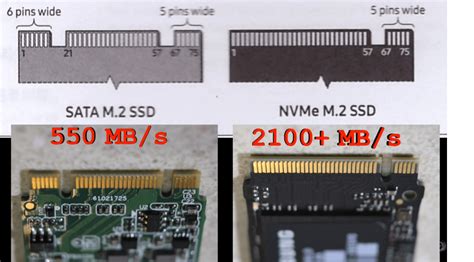 Nvme Vs Ssd What S The Difference National Metaverse | My XXX Hot Girl