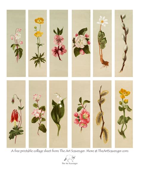 Free Printable Flower Collage Sheet — The Art Scavenger, 60% OFF