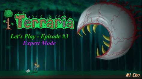 Terraria 1.3 Let's Play Expert Mode - #3 Webbed Stylist - YouTube