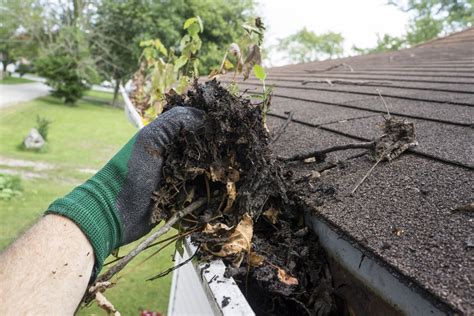 Gutter Cleaning Services - RM Moss Removal