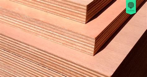 Marine Grade Plywood and How it can be used - Plywood Logistics