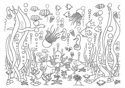 1-5-underwater-coloring-pages Garden Coloring Pages, Dolphin Coloring Pages, Fish Coloring Page ...