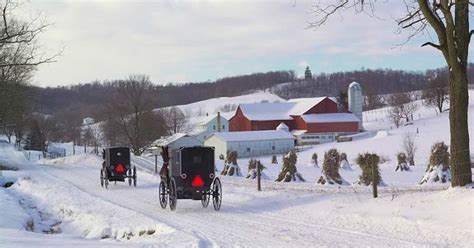 Experience the Amish Way of Life with these Home Tours and Buggy Rides