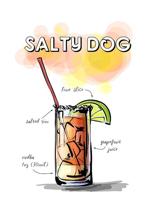 Salty Dog Cocktail Digital Art by David Rice - Fine Art America