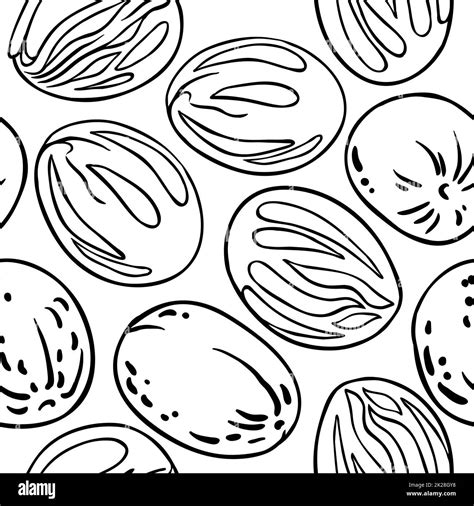 Nutmeg flower Black and White Stock Photos & Images - Alamy