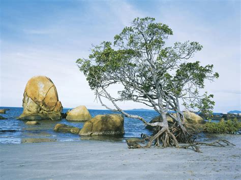 Lockhart River - Destination Information - Queensland