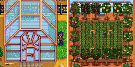 Best stardew valley greenhouse layout - Lasiwireless