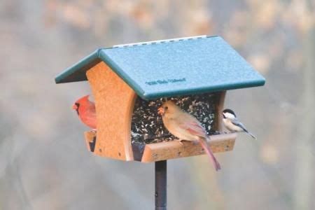 Are Wild Birds Unlimited feeders guaranteed? - Birdful