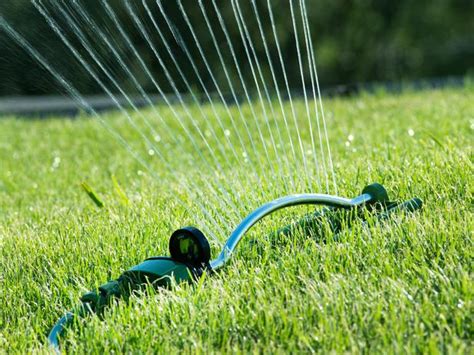 Proper Lawn Watering - T & T Landscaping