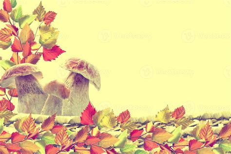 autumn leaves isolated on yellow background. 9847980 Stock Photo at ...