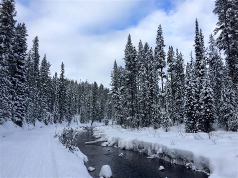 Custer-Gallatin National Forest, Montana - Discovering Montana