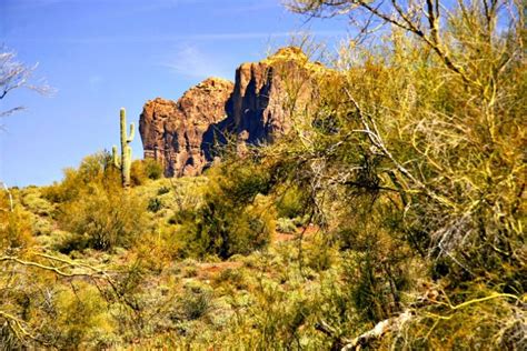 Apache Trail: Canyon Lake, Tortilla Flat and Beyond - RVing with Rex