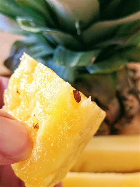 Growing Pineapple from Seeds – Collecting & Planting Pineapple Seeds ...