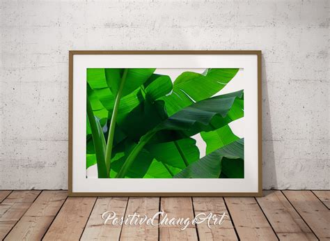 Banana Leaf Banana Leaf Print Art Tropical Leaf Art Print | Etsy