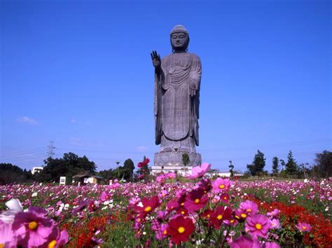 Ibaraki at a Glance — Discover Some of the Prefecture's Best Kept Secrets | Tokyo Weekender