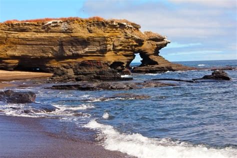 GALAPAGOS ISLANDS DAY 3- Photo Gallery: Isabela & Santiago