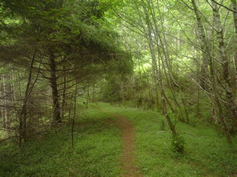 7 Best Hikes In Florence Oregon: Day Hikes - HikingInk