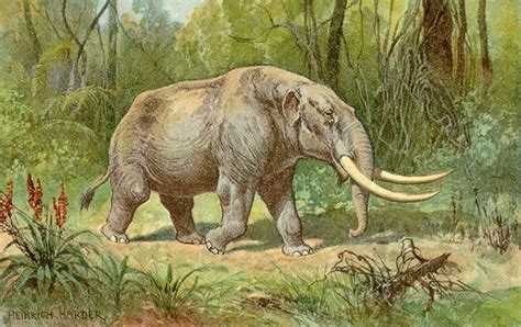 10 Important Facts About Mastodons