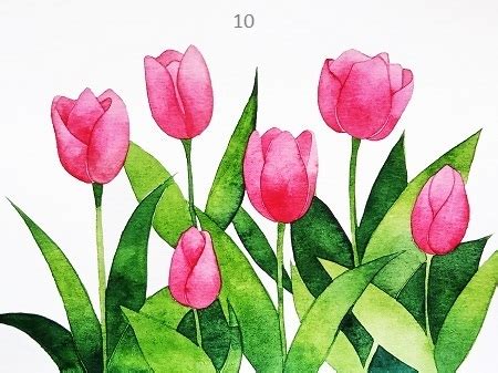 Cẩm nang hướng dẫn cách vẽ hoa tulip đơn giản cho người mới bắt đầu