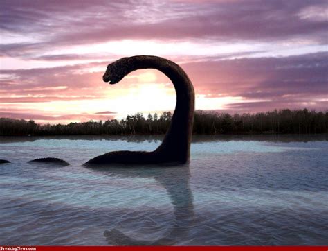 Lake Okanagan, WA People say this is what Ogopogo looks like but no one ...