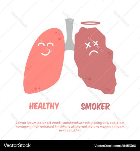 Healthy and smoker lung cartoon comparison Vector Image