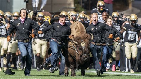 Colorado Buffaloes on Twitter: "Sunday smiles 😀 #GoBuffs https://t.co ...