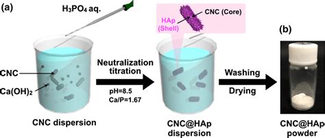 a Schematic illustration of the neutralization titration in the... | Download Scientific Diagram