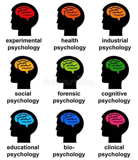 Psychology branches stock illustration. Illustration of learning ...