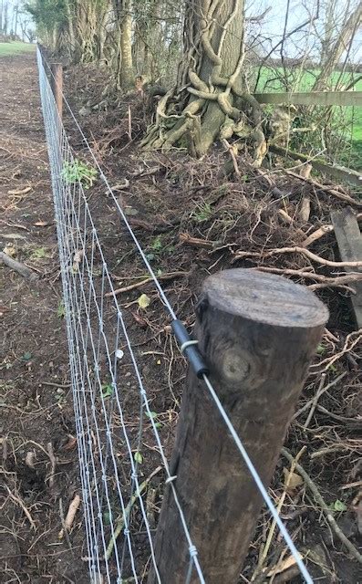 Sheepwire (1 electric row) on creosote posts - FRS Fencing