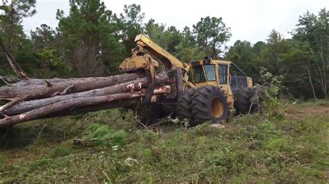 SWAMP LOGGERS NC / Sustainability and Logging - YouTube