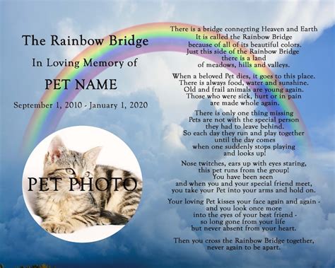 Personalized Rainbow Bridge Pet Loss Pet Memorial Poem Dog Cat | Etsy