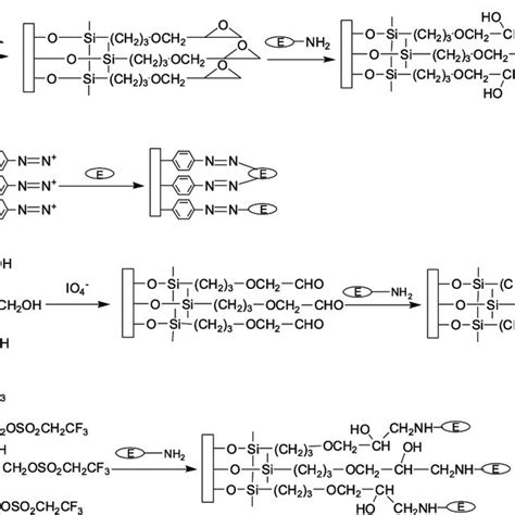 (PDF) Immobilized Enzyme Reactors in HPLC and its Application in Inhibitor Screening: A Review