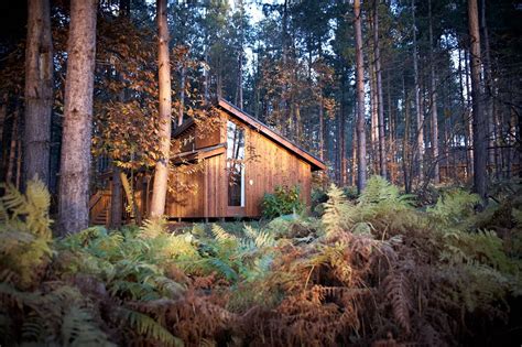 Stunning pictures of splendid lodges in Sherwood Forest ...