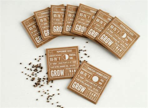 six brown seed packets with seeds scattered around them